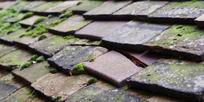 Molesworth roof repair costs